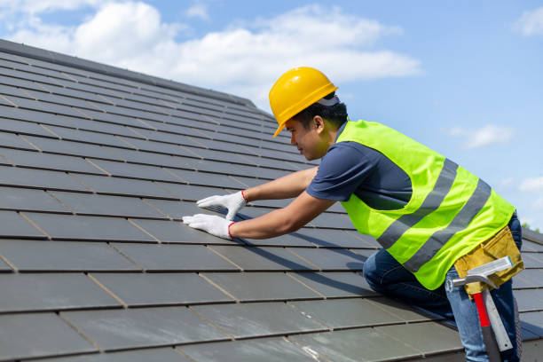 Roof Gutter Cleaning in Olcott, NY